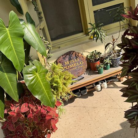 شقة The Melo Pomelo Courtyard. كاتماندو المظهر الخارجي الصورة
