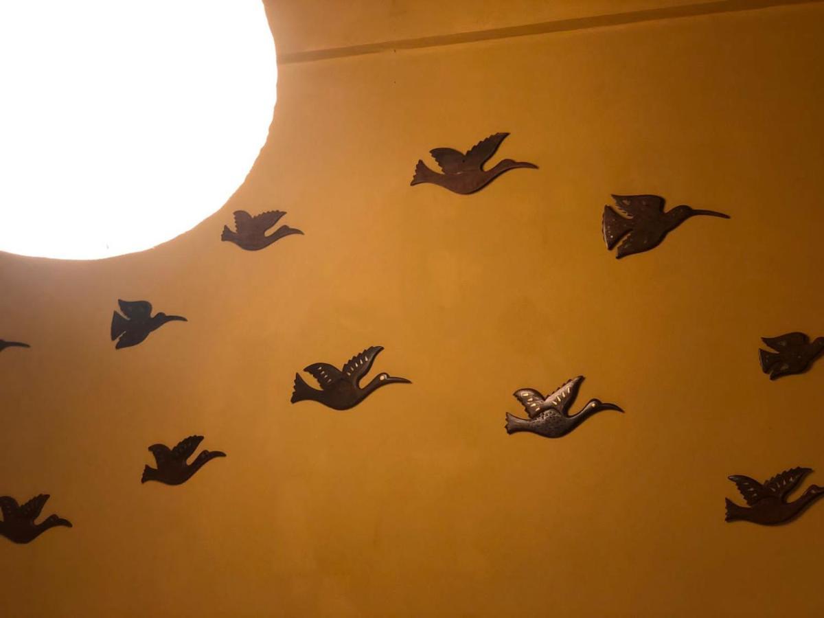 شقة The Melo Pomelo Courtyard. كاتماندو المظهر الخارجي الصورة