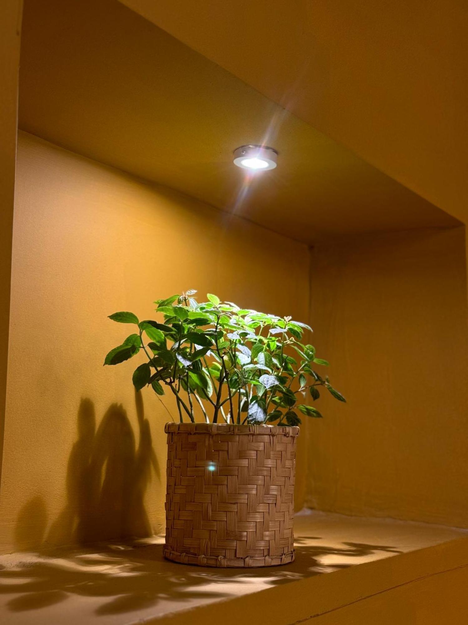 شقة The Melo Pomelo Courtyard. كاتماندو المظهر الخارجي الصورة