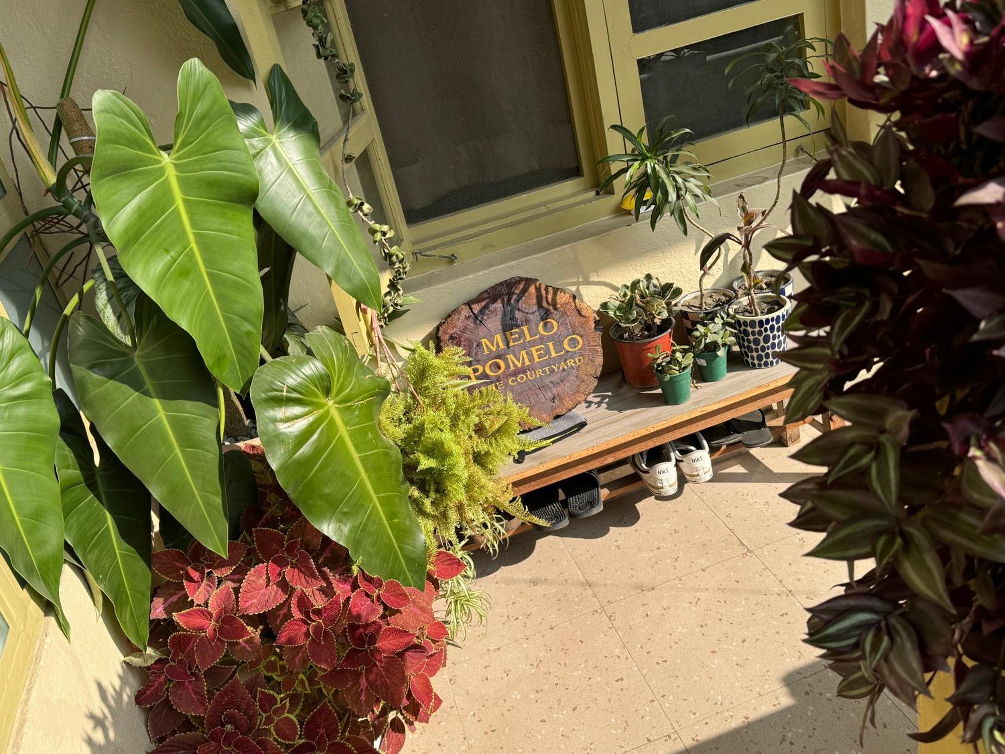 شقة The Melo Pomelo Courtyard. كاتماندو المظهر الخارجي الصورة